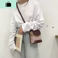 网红小包包女斜挎包2020新款春复古时尚链条包百搭ins单肩小方包NEW LAKE女士单肩包
