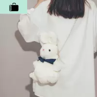 今年流行的小包包女2020新款潮韩版百搭斜挎包女可爱萌珍珠链条包NEW LAKE 白色女斜挎包