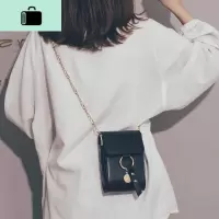 高级感包包女2020新款网红质感简约手机包chic洋气百搭链条斜挎包NEW LAKE女斜挎包