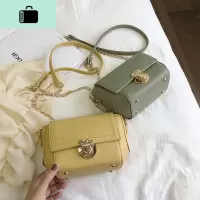 夏季小包包女2020新款韩版洋气ins迷你包时尚chic链条斜挎包女包NEW LAKE女斜挎包