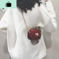 迷你小包包女包新款2020纯色个性马鞍包百搭chic链条单肩斜挎包潮NEW LAKE女士单肩包