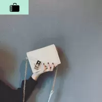 今年流行的包包女2020新款潮韩版百搭高级感质感斜挎链条迷你小包NEW LAKE女士单肩包
