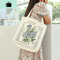日系ins小清新帆布包女文艺学生夏天包包购物袋大容量百搭单肩包NEW LAKE女士单肩包