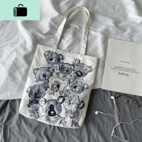 女儿国国王的店帆布包女单肩韩版 原宿 ulzzang日系学院风帆布袋NEW LAKE女士单肩包