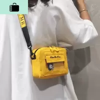 小包包2019新款女包洋气网红帆布包女单肩布袋学生可爱流行斜挎包NEW LAKE女士单肩包