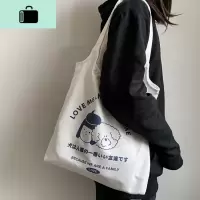 新款ulzzang韩版原宿女单肩ins小清新文艺森系学生帆布包购物袋NEW LAKE女士单肩包