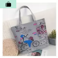 韩版女单肩帆布包手提大容量ins简约百搭学生文艺小清新购物袋子NEW LAKE女士单肩包