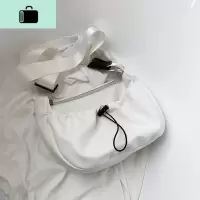 包包2020新款潮网红斜挎包ins百搭高级感褶皱大容量女包潮托特包NEW LAKE女士单肩包