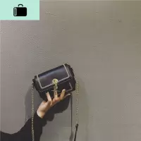 网红高级感小包包女2020新款潮韩版百搭斜挎包洋气夏季迷你链条包NEW LAKE女斜挎包