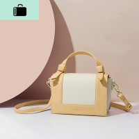 春款流行包包女2020新款潮时尚单肩包百搭斜挎包手提小包NEW LAKE 黄色配米白棕女斜挎包