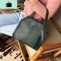 包包女2020新款手提包百搭复古流苏包大容量时尚链条单肩斜挎包潮NEW LAKE女斜挎包
