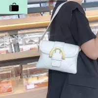 单肩包女小包2020新款时尚中古包高级感腋下包ins锁扣百搭斜挎包NEW LAKE女斜挎包