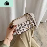 高级感包包女2020新款春夏百搭女包链条包单肩包斜挎包小包NEW LAKE女斜挎包