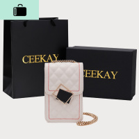 包包2020新款潮百搭夏天网红流行迷你链条斜挎小包手机包女NEW LAKE女斜挎包