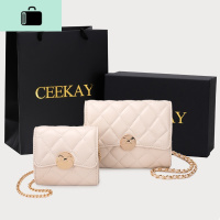 包包2020新款潮百搭斜挎网红超火迷你链条包小包女NEW LAKE女斜挎包