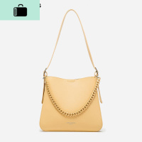 2020夏新款Chic时尚韩版腋下极简风链条百搭单肩斜挎托特子母女包NEW LAKE女斜挎包