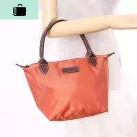 手拎包女小包手提尼龙饺子包迷你小号饭盒包遛弯包防水布包NEW LAKE女斜挎包