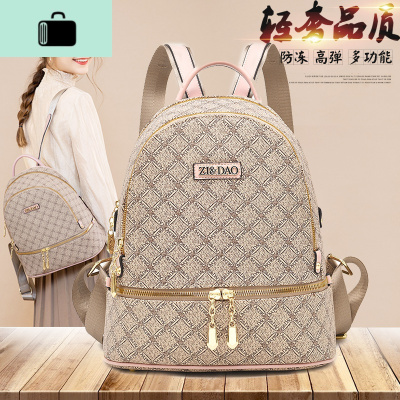 网红双肩包女2020新款潮时尚百搭女士大容量超火小背包ins风书包NEW LAKE