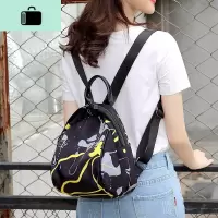 防水尼龙牛津布双肩包女小包2020新款时尚百搭轻便帆布女士小背包NEW LAKE