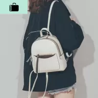 韩版时尚百搭女士小背包2020新款ins超火定型迷你双肩包旅行包潮NEW LAKE