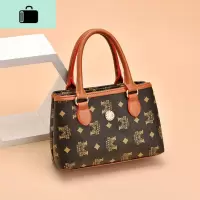中年妈妈包2020新款手提小包包老年手机包零钱包妇女手拎买菜包NEW LAKE女斜挎包