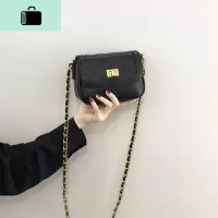 放手机的小包包女2020新款百搭时尚流行斜挎包网红质感迷你链条包NEW LAKE女斜挎包