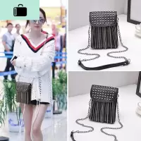 新款上新2020软皮小包包手机包流苏韩版放百搭森系迷你女包斜挎包NEW LAKE 黑色女斜挎包