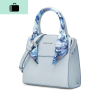 2019年单肩包 小 丝巾手柄饰女士手提包气质通勤风NEW LAKE