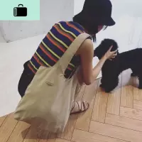 帆布包女单肩包斜挎包大包包学生韩版ins大容量布袋手提简约日系1NEW LAKE女士单肩包