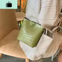 高级感洋气水桶包夏季链条小包包女包新款2020流行百搭ins斜挎包NEW LAKE女士单肩包