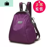 中老年人妇女背包休闲旅游中年双肩包女包尼龙牛津布大容量妈妈包NEW LAKE