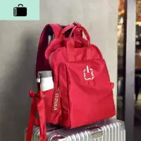 双肩包女2020新款韩版牛津布ins超火学生书包百搭大容量旅行背包NEW LAKE