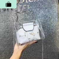 chic小清新透明包包女2020夏天新款果冻链条包仙女韩版百搭斜挎包NEW LAKE女斜挎包
