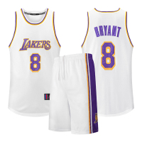 科比球衣24号8号湖人刺绣篮球服套装男詹姆斯库里欧文艾佛森女 H人/8号科B-白色 L（170-175cm）