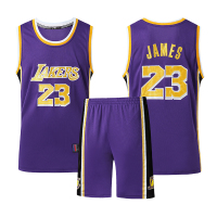 科比球衣24号8号湖人刺绣篮球服套装男詹姆斯库里 H人/23号詹姆S-紫色 此款尺码偏大，有表格供参考；不清楚可咨询客服