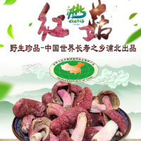 浦北龙门红椎菌干 干品野生红椎菌 干货 干红菇25g袋装尝鲜版（普通级）