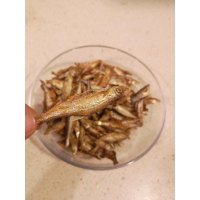 浦北水库野生小鱼干 长寿之乡浦北水库野生小鱼干 纯绿色食品 无添加剂