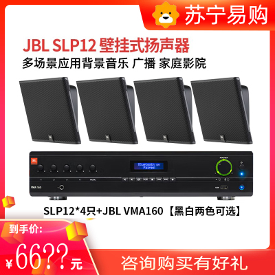 JBL SLP12 家庭影院壁挂音箱背景音乐会议广播定压两用防水音响