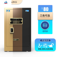 保险柜家用80cm双大型1m米高指纹密码单保险箱小型办公室会计防盗全钢保管箱入墙隐形床头首饰箱 泰空仓家用保险箱