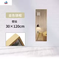 铝合金加厚网红全身镜女家用落地壁挂卧室穿衣镜大镜子试衣镜 泰空仓