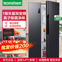 容声(Ronshen)BCD-609WD11HP[离子净味]609升变频一级能效对开门双开门冰箱家用无霜离子除菌大容量