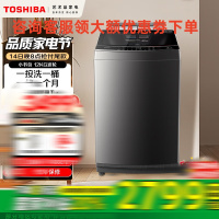东芝波轮洗衣机全自动家用[投液小书包DB-12T16DT]直驱变频12公斤大容量