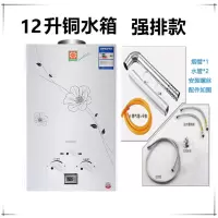 时光旧巷燃气热水器家用煤气液化气7升8升10升12升天然气强排低压洗澡即热 12升铜水箱豪配+强排式+插电款-天然气