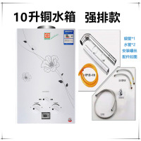 时光旧巷燃气热水器家用煤气液化气7升8升10升12升天然气强排低压洗澡即热 10升铜水箱豪配+强排式+插电款-液化气