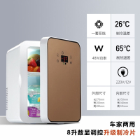小冰箱冷冻冷藏保鲜家用租房宿舍办公室母乳小型车载冰柜时光旧巷 20L 皓月白双核