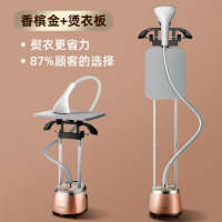 奥克斯(AUX)挂烫机家用蒸汽熨斗熨烫机手持小型熨烫衣服立式服装店专用_香槟金烫衣板『升级双杆高配款』