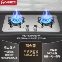 扬子燃煤气灶炉双灶家用天然气液化气猛火灶台式嵌入式 不锈钢4.8kW双文火钢火盖_液化气