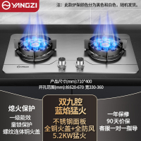 扬子燃煤气灶炉双灶家用天然气液化气猛火灶台式嵌入式 不锈钢5.2kW双九腔猛火铜火盖_天然气