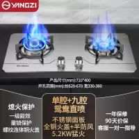扬子燃煤气灶炉双灶家用天然气液化气猛火灶台式嵌入式 不锈钢5.2kW鸳鸯直喷铜火盖_天然气