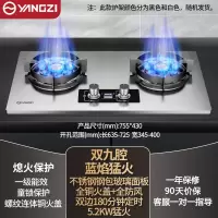 扬子燃煤气灶炉双灶家用天然气液化气猛火灶台式嵌入式 不锈钢防烫加厚5.2kW双九腔猛火_天然气